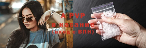 молекула духа Соликамск