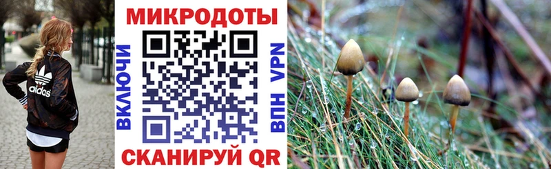 Галлюциногенные грибы Cubensis Полтавская